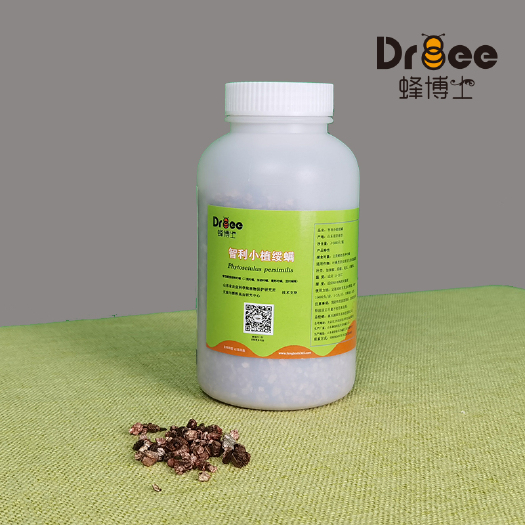 北京生物防治虫 智利小植绥螨丨防治螨虫丨防治叶螨