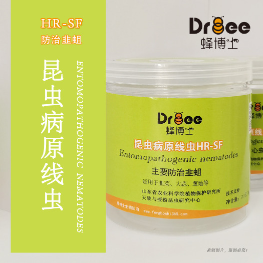 北京生物防治虫 昆虫病原线虫HR-SF丨防治韭蛆丨适用于韭菜大蒜葱地等