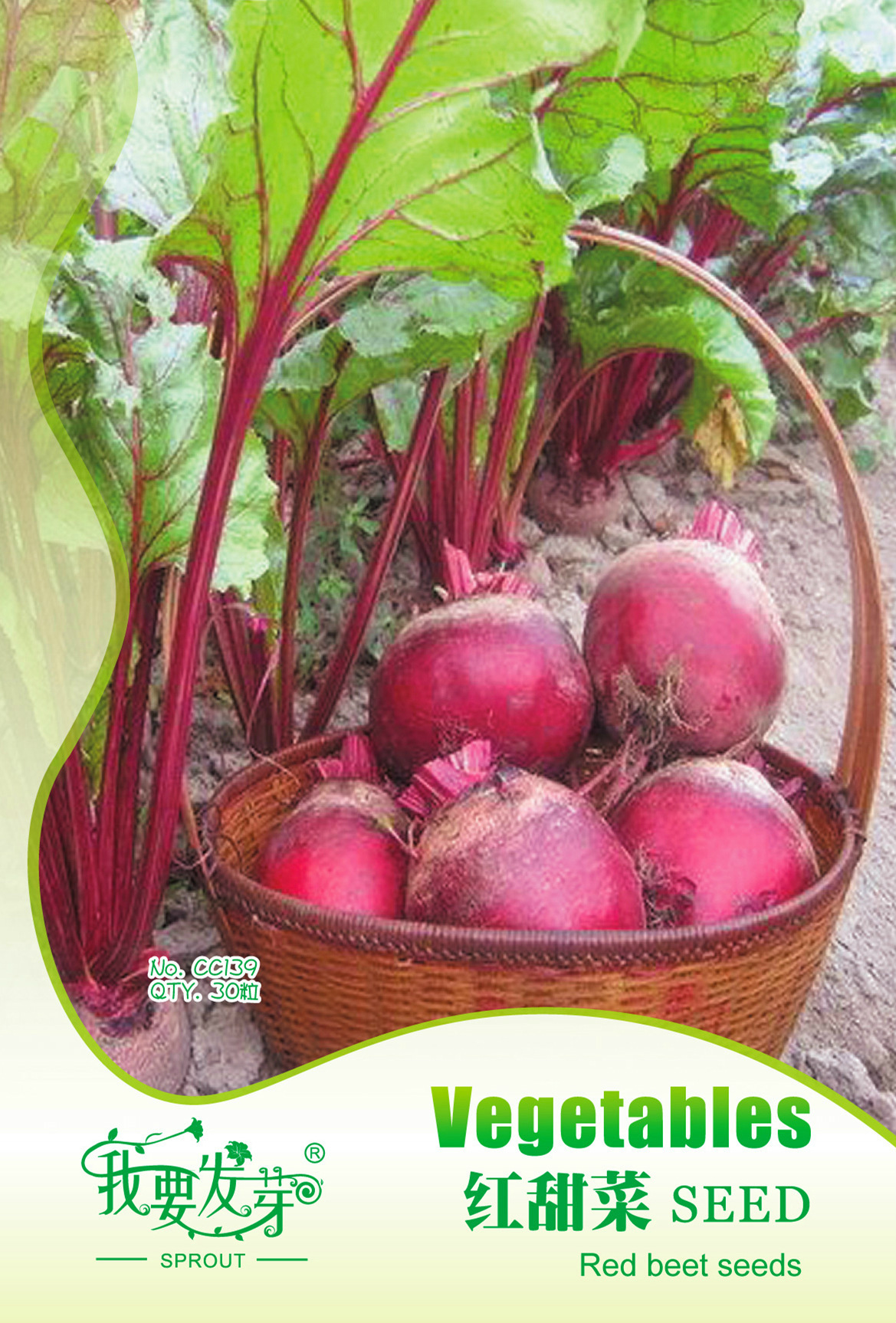 益阳 我要发芽 蔬菜种子 红甜菜种子 红根甜菜 紫菜头 多汁味甜