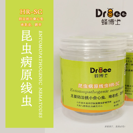 北京生物防治虫 病原线虫  昆虫病原性线虫HR-SC丨防治桃小食心虫丨防治地老虎跳甲