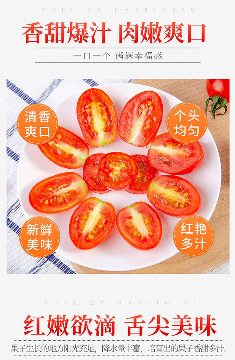  10度超甜圣女果番茄小西红柿批发包邮一件代发