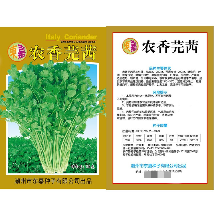 《优质种子》浓香芫茜（香菜种子）气味浓郁 抗高温 耐寒