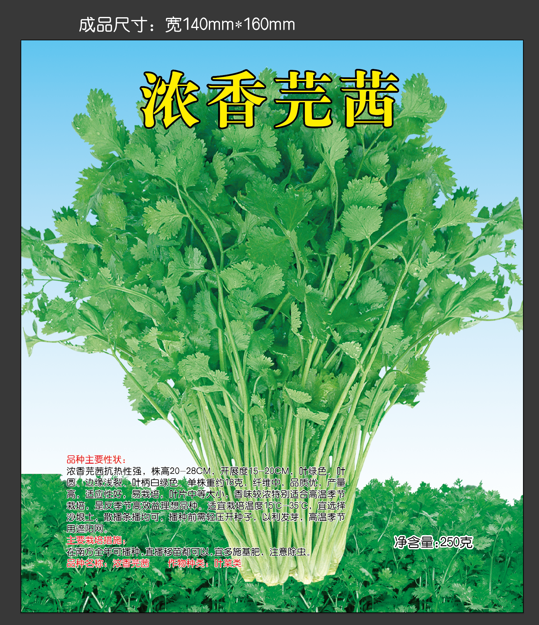 《优质种子》浓香芫茜（香菜种子）气味浓郁 抗高温 耐寒