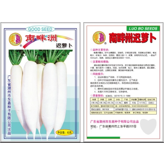 潮州《优质品种》南畔洲迟萝卜种子，，抗病，耐抽苔