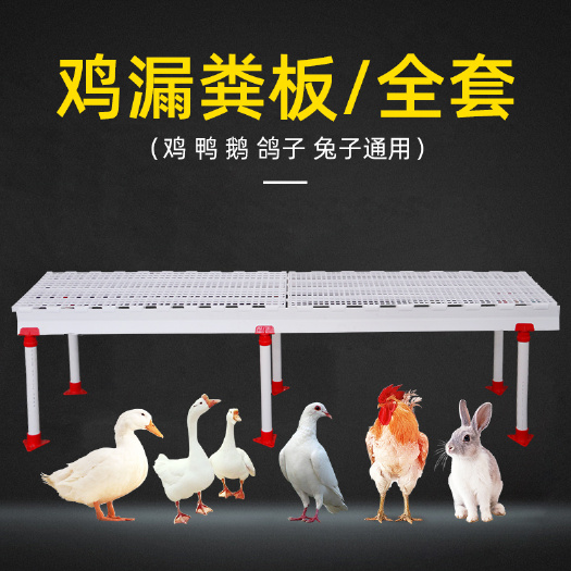 诸城市鸡舍漏粪板鸡舍平养漏粪板塑料漏粪版11