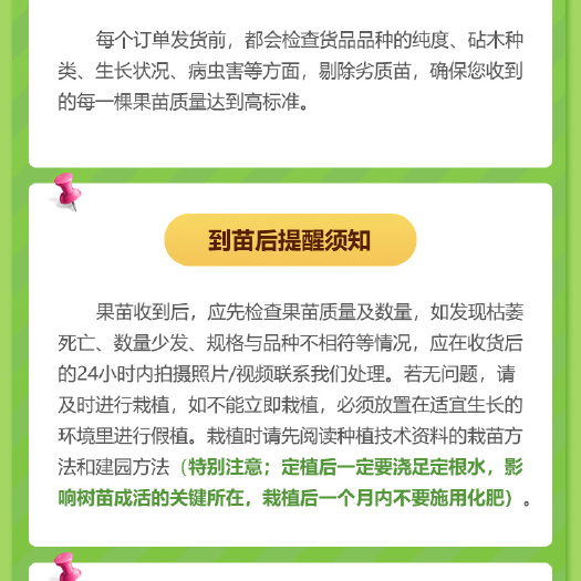 枳壳苗幼苗可用作砧木