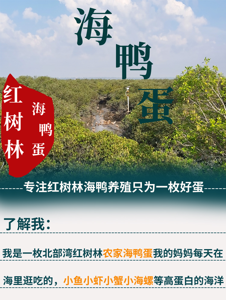 30枚新鲜北部湾农家红树林海边散养海鸭蛋包邮非咸蛋