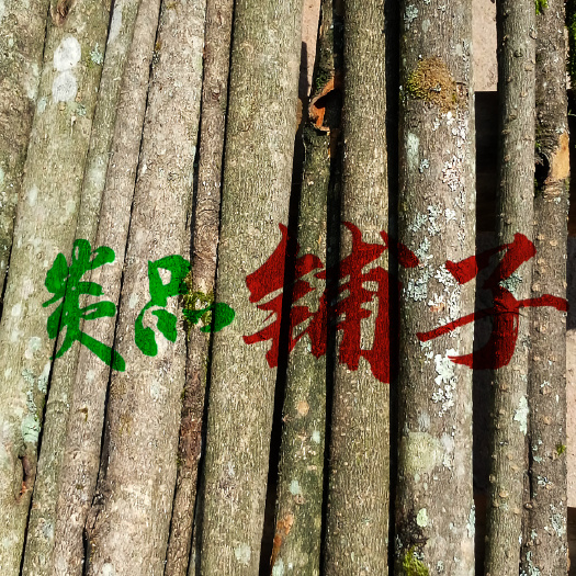 长沙厚朴/新鲜厚朴/去粗厚朴/厚朴树木/厚朴木头/按要求尺寸加工
