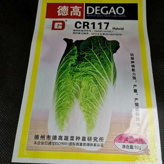 昆明白菜种子德高117抗根肿大白菜，抗病性强产量高单球重