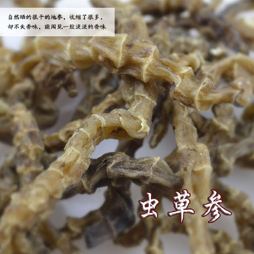 玉林地参 虫草参 品格规格齐全 江湖地摊展会产品货源批发地参