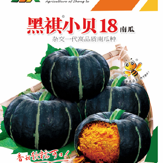 昆明 精品云南贝贝南瓜种子-杂交一代高抗病高挂果高产亩产4吨
