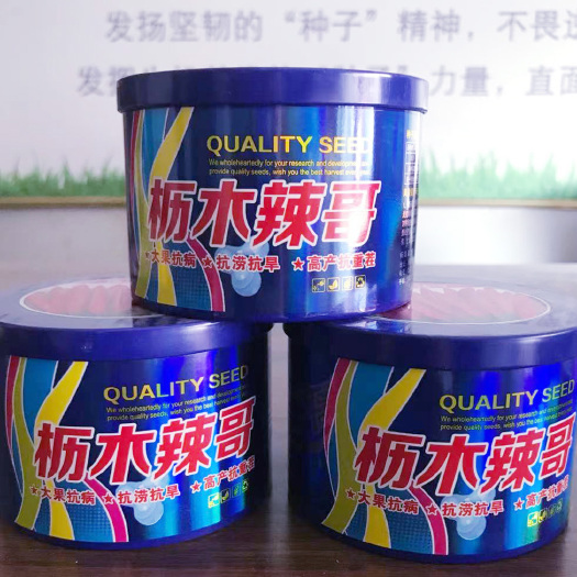 扶沟县 辣椒种子 高产朝天椒种子栎木辣哥抗病抗倒抗重茬