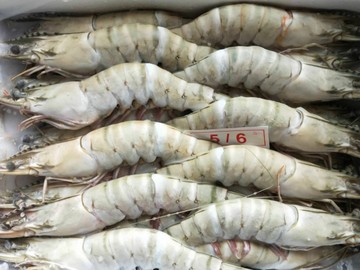 长沙 批发供应酒店食材刺身冷冻黑虎虾越南虎虾5-6草虾