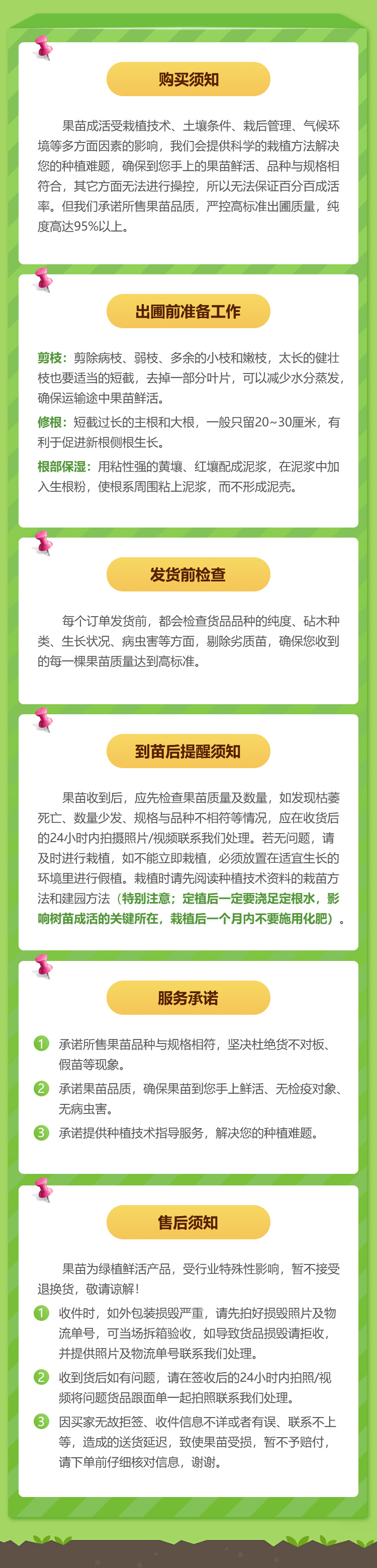 网棚无病毒 沃柑苗 广西嫁接沃柑果树苗