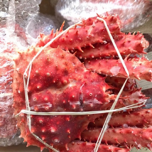 长沙 批发冷冻帝王蟹无冰衣600-800克每只刺身酒店食材