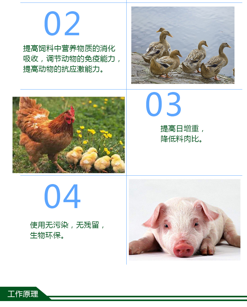  果胶酶/动物饲料添加剂/酶制剂