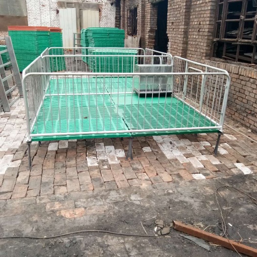 长沙母猪产床 养猪场小猪保育床双体漏粪板厂家品质保证