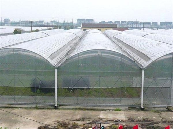 郑州连栋塑料薄膜温室大棚