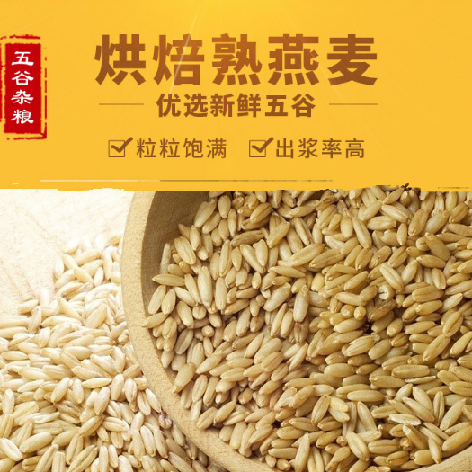 漯河 熟燕麦