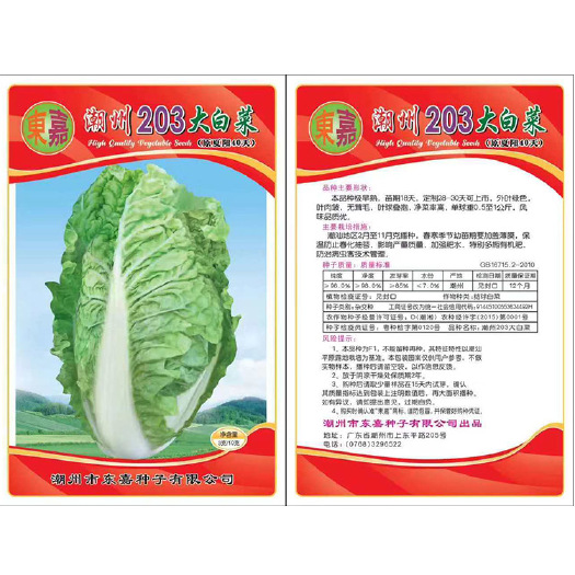 潮州潮州203大白菜种子，定植后28天可上市无绒毛，口感好品质优