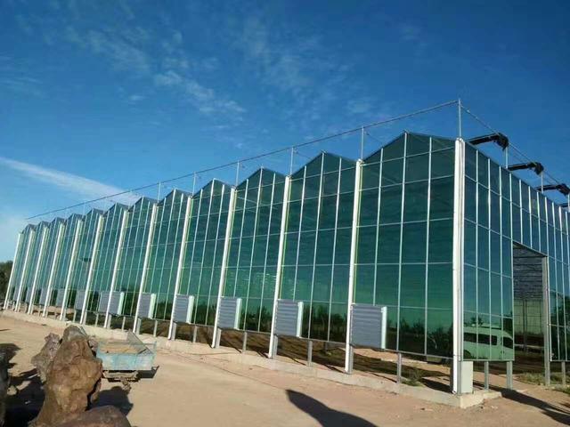 郑州种植大棚 玻璃温室大棚