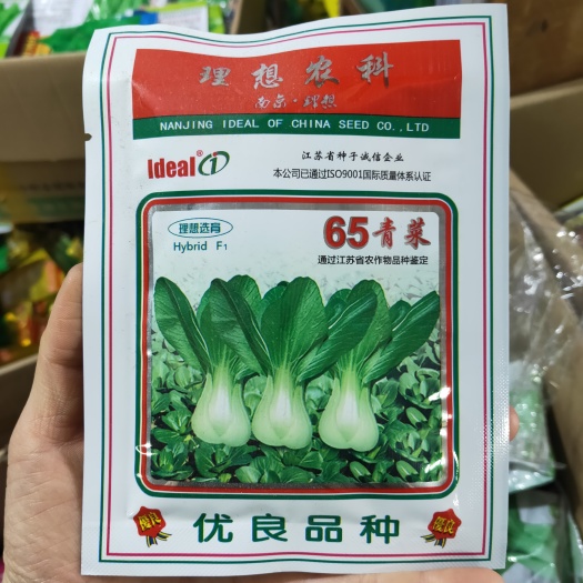 西安青梗菜种子理想65青菜种子耐热耐湿优质品种