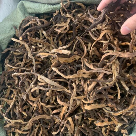 广州骨碎补中药材 无硫新鲜干货高含量公斤包邮 常年大货供应