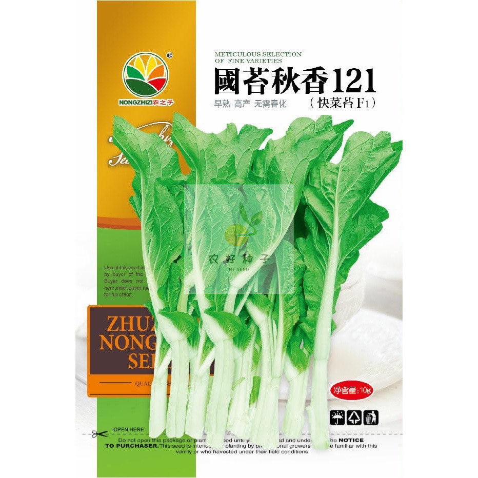株洲白菜苔种子  杂交白菜苔快菜苔种子 国苔秋香121种子--早中熟粗苔