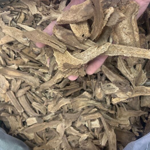 广州云木香 广木香无硫新货 规格齐全大片含量高 调料药用批发