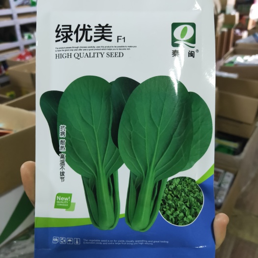 西安青梗菜种子绿优美青菜种子抗热耐雨抗病产量高