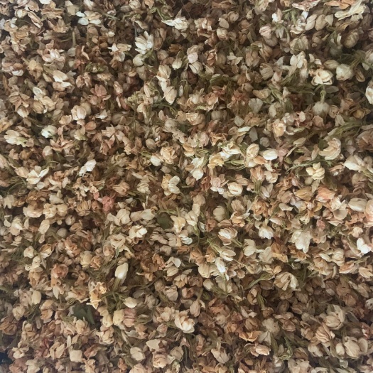 广州 茉莉干花 茉莉花无硫新货 茉莉花茶实拍图 公斤包邮