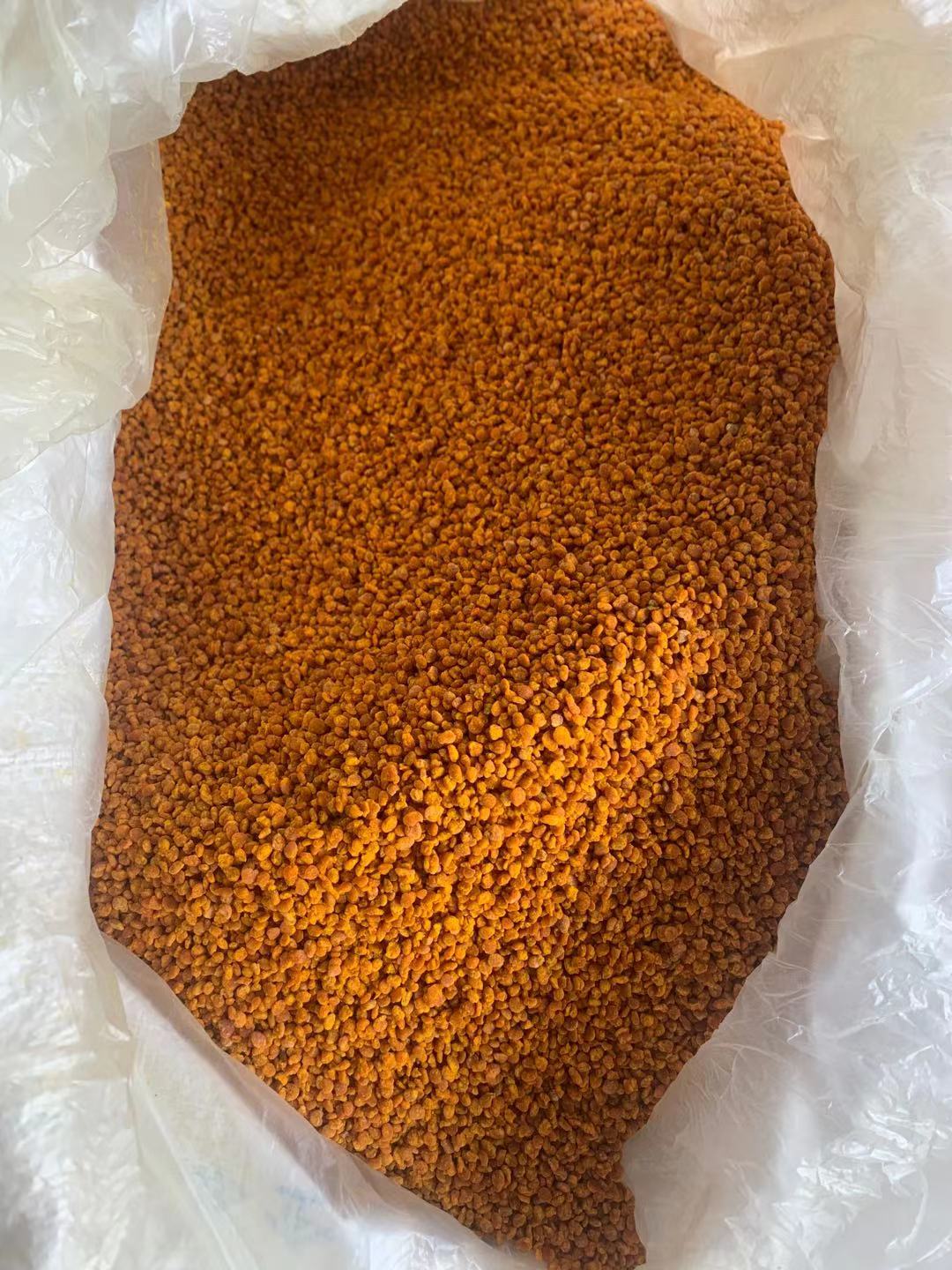 油茶花粉  浙江茶花粉自然晒干粉人工筛选花粉