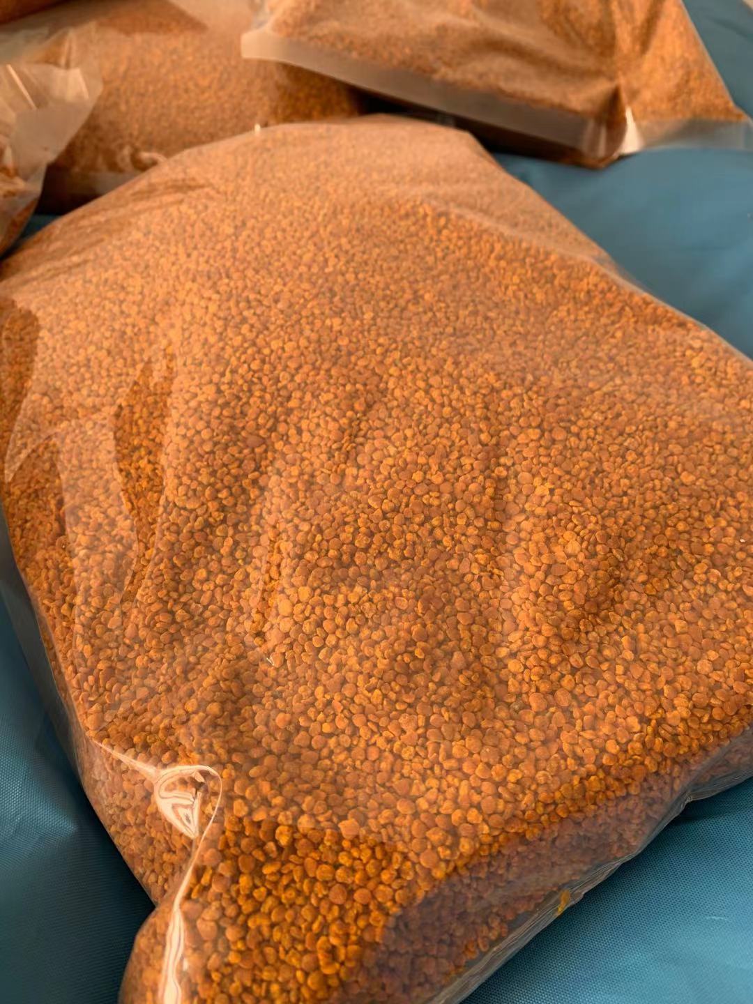 油茶花粉  浙江茶花粉自然晒干粉人工筛选花粉