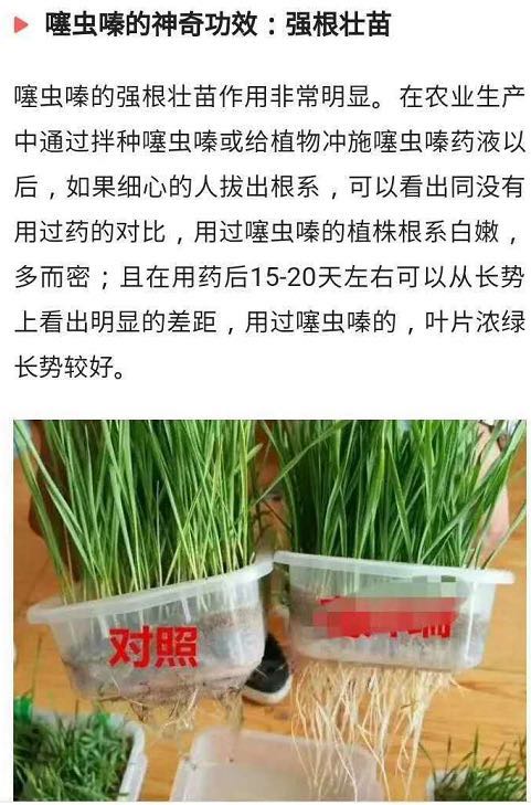 噻虫嗪25kg月季多肉植物蚜虫飞虱蓟马绿潜叶娥蝉介壳虫杀虫剂