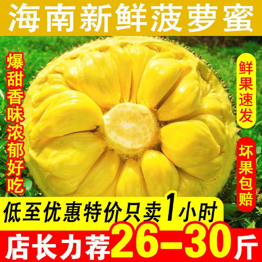海南三亚当季菠萝蜜新鲜水果 整箱特产20-35斤一整个包邮红