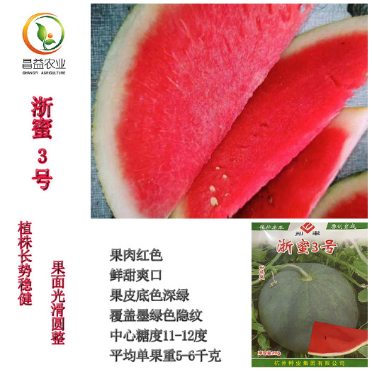 寿光市黑皮西瓜种子 浙蜜3号西瓜种籽 浙蜜三号超甜红瓤西瓜种子