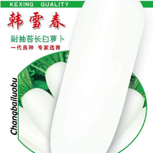 绵阳 长白萝卜种子