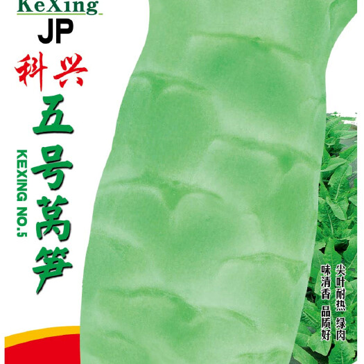 绵阳科兴五号莴笋科兴九号莴笋种子耐热尖叶