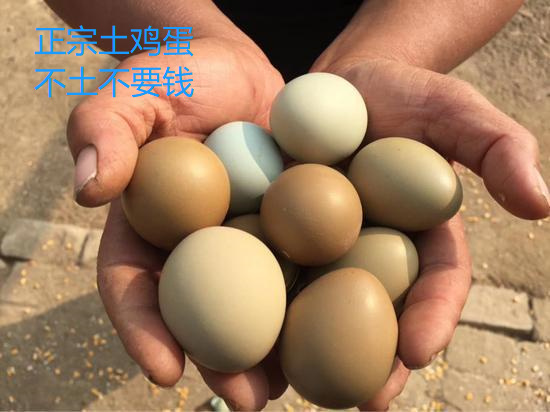 阳新县 正宗农村土鸡蛋，不土不要钱。