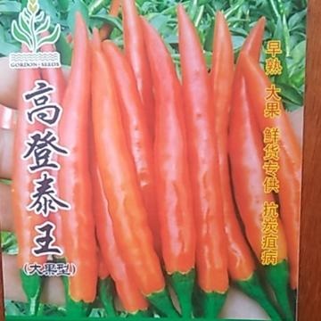 怀化朝天椒种子  大果型朝天椒强势品种极早熟,大果,丰产,抗病型