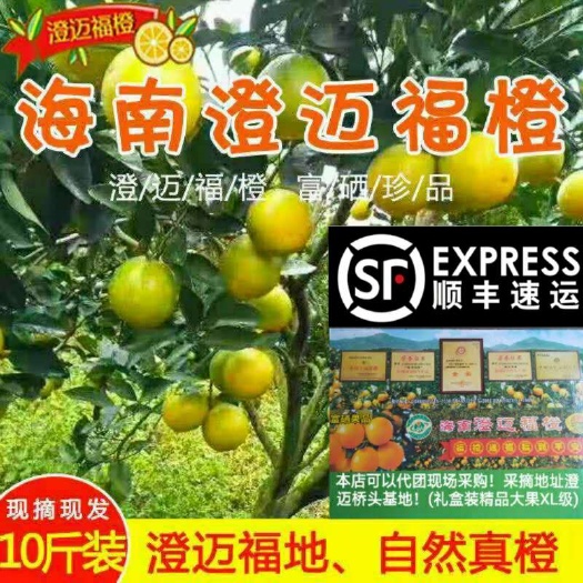 绿橙  海南新鲜澄迈福橙官方旗舰鲜果多汁顺丰包邮当季现货5斤10斤
