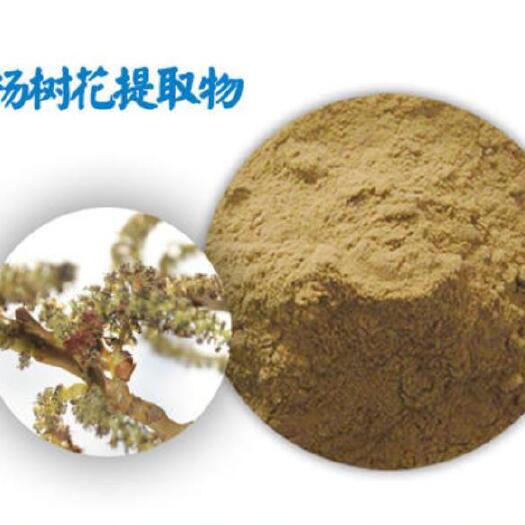 嵩县宠物饲料 杨树花提取物，可制粒