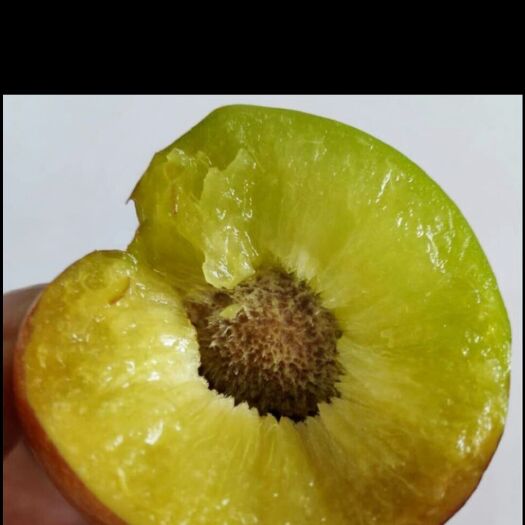 绥江县半边红李子  绥江半边红