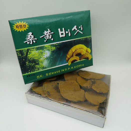 安国市西藏桑树桑黄盒装 特级桑黄菌种500克包邮中药材