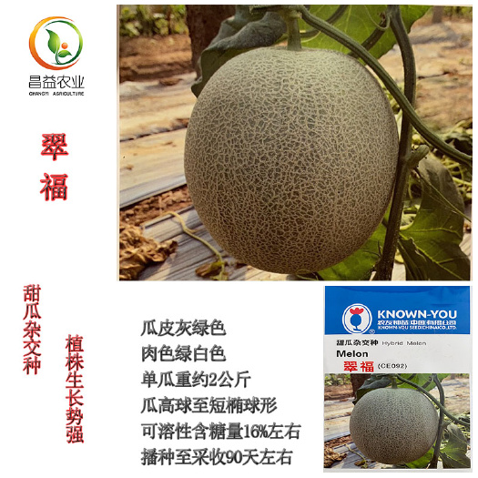 寿光市西州蜜25号甜瓜种子农友翠福甜瓜种籽网纹香瓜超甜哈密甜瓜种子
