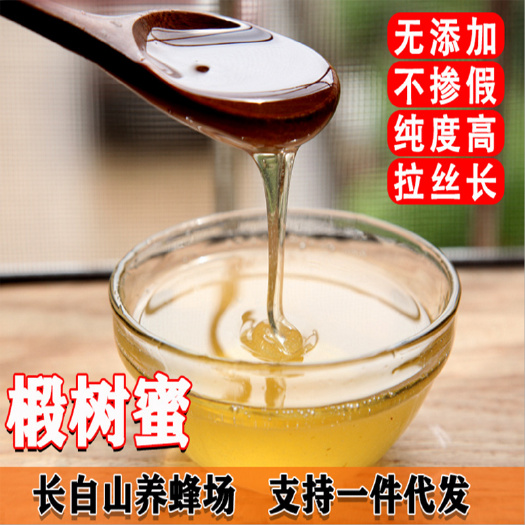 抚松县蜂蜜 椴树蜜土蜂蜜 长白山雪蜜500g/瓶口感醇厚 蜂场直发
