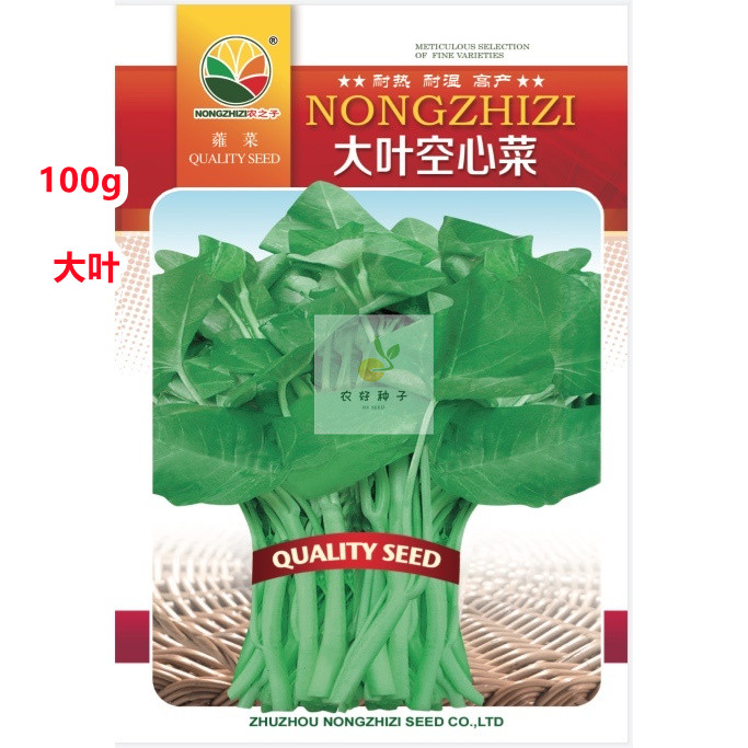 株洲空心菜种子 高产大叶空心菜种子-- 持续采收.耐高温