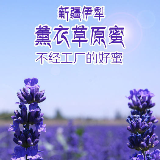 伊宁市包邮~伊犁薰衣草蜜新疆黑蜂蜂蜜薰衣草原始蜜