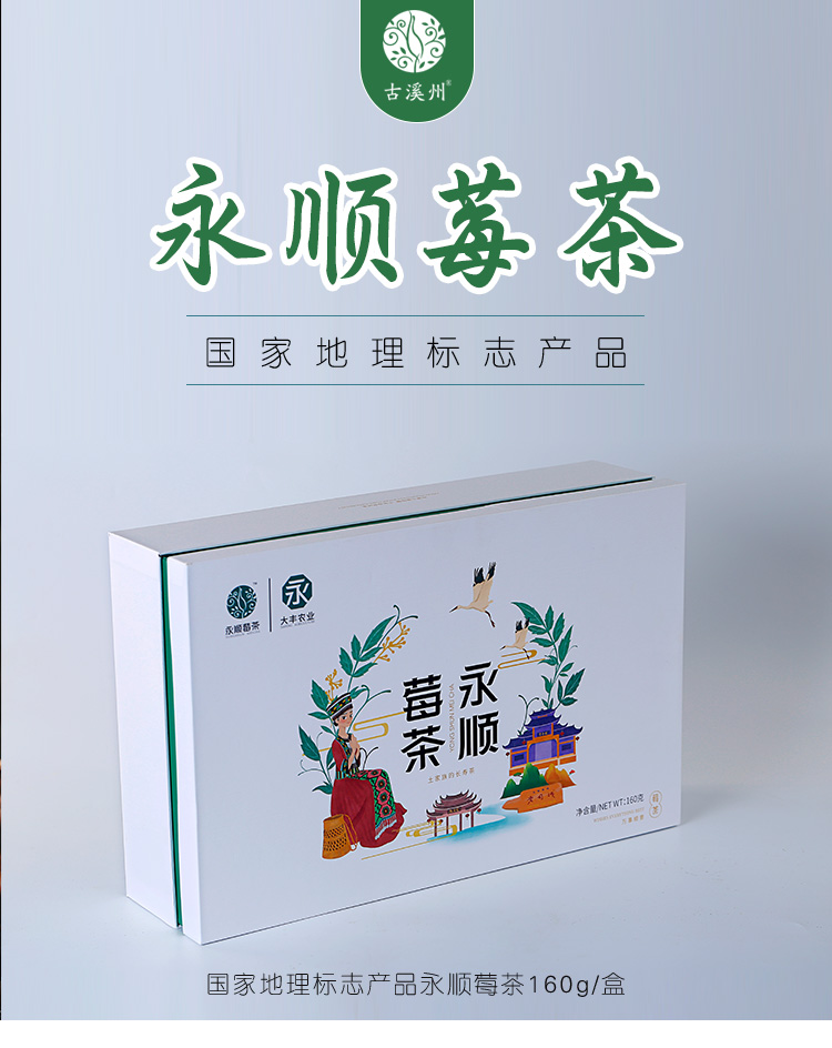 湘西永顺莓茶特级清火祛痰龙须霉茶芽尖正品茶叶茅岩送礼盒装