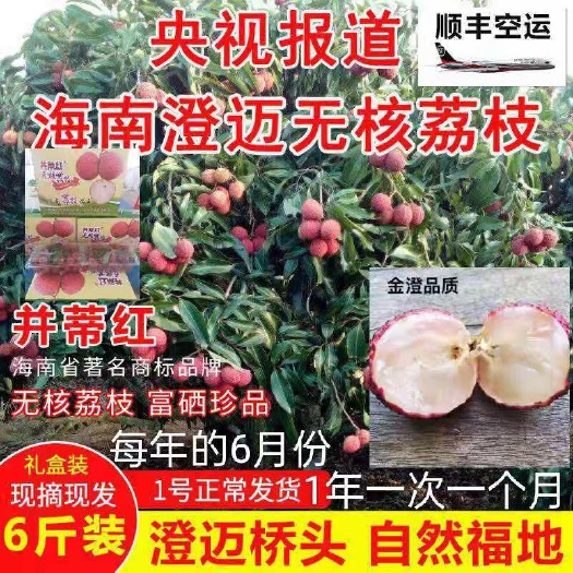 海南澄迈陆桥并蒂红 金澄超级无核荔枝官方旗舰新鲜水果空运包邮